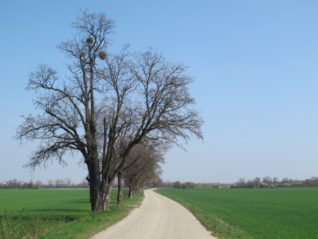 zwischen Aichhof und Budapester Stra&szlig;e