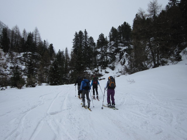 zwischen Rauhem Oppen und Kesselb&ouml;den (19. Apr.)