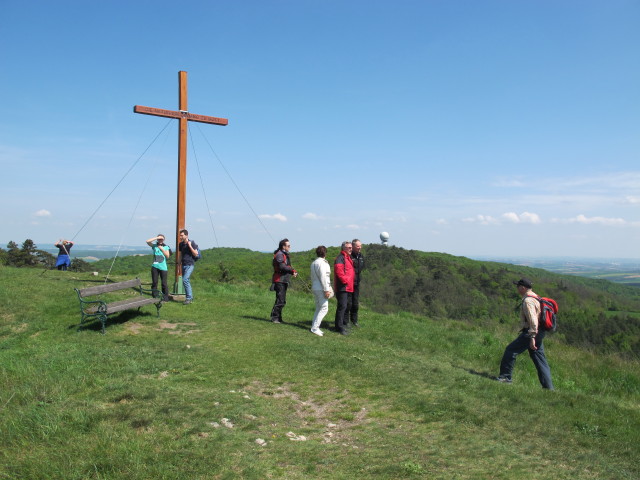 Vorgipfel des Buschbergs, 485 m