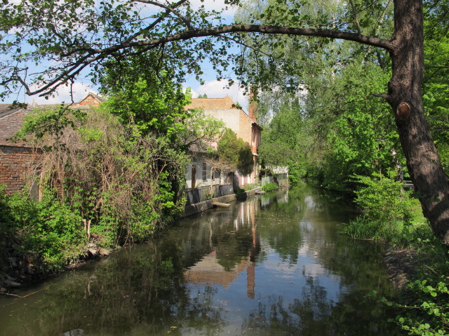 Thayam&uuml;hlbach in Laa an der Thaya
