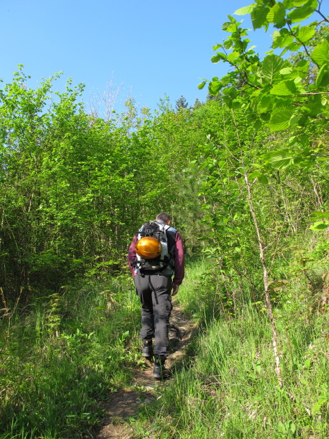 Erich zwischen Loderhof und Hohe-Wand-Stra&szlig;e