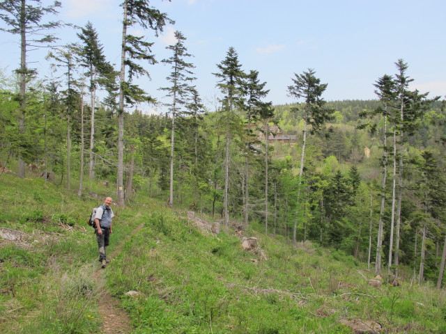 Erich zwischen Gasthof Almfrieden und Hohe-Wand-Stra&szlig;e