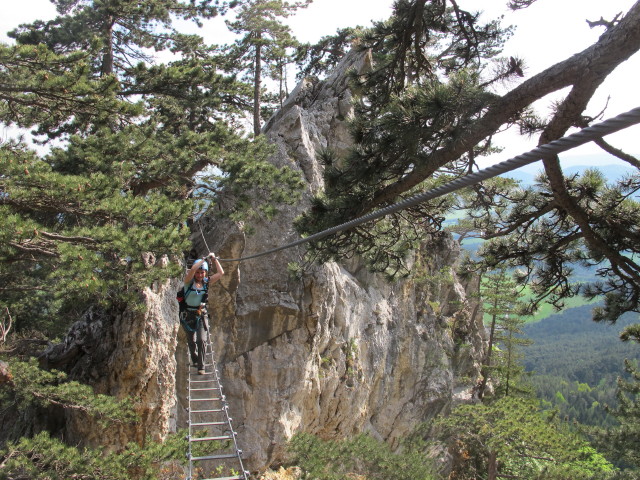 Gebirgsvereins-Klettersteig: Diana auf der Seilbr&uuml;cke