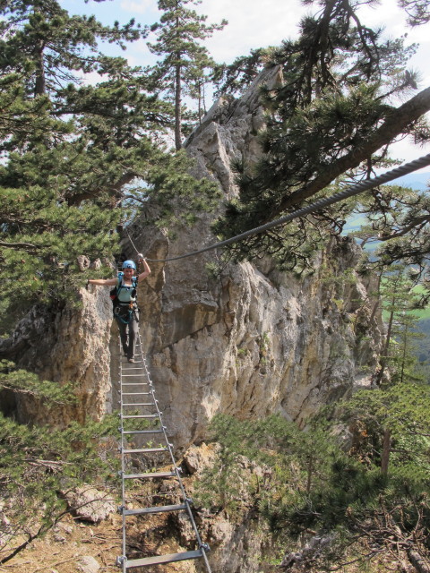Gebirgsvereins-Klettersteig: Diana auf der Seilbr&uuml;cke