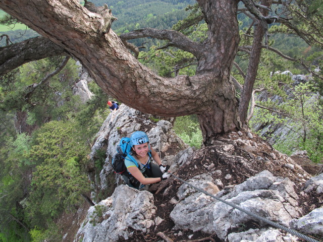 Gebirgsvereins-Klettersteig: Diana beim Kyselak-Platzerl
