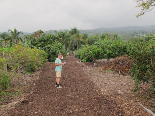 Papa auf der Coffee Country Tour der Kona Pacific Farmers Coop (13. Mai)