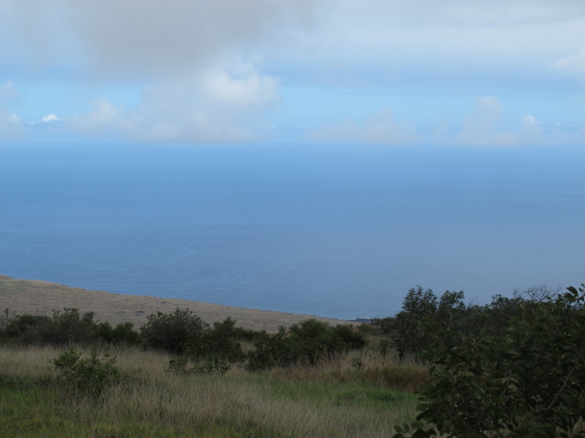 Hilina Pali Overlook, 695 m (14. Mai)