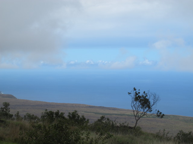 Hilina Pali Overlook, 695 m (14. Mai)