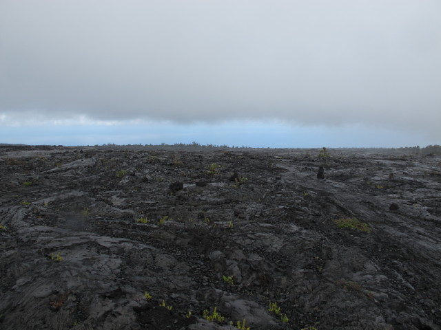 Mau Loa o Mauna Ulu, 817 m (14. Mai)
