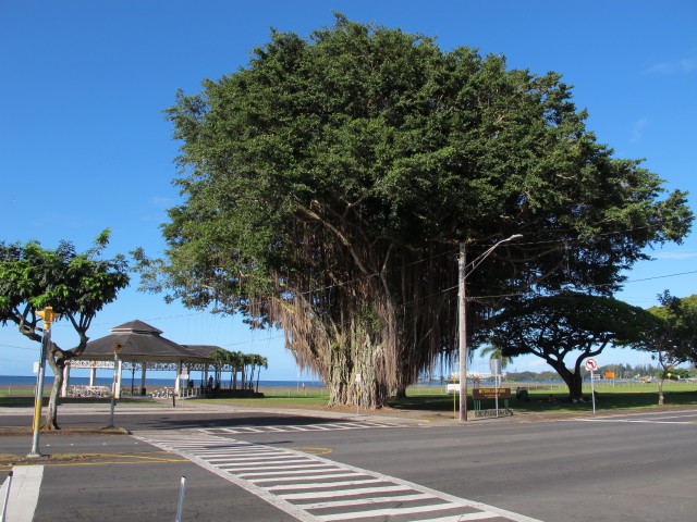 Mo'oheau Beach Park (15. Mai)