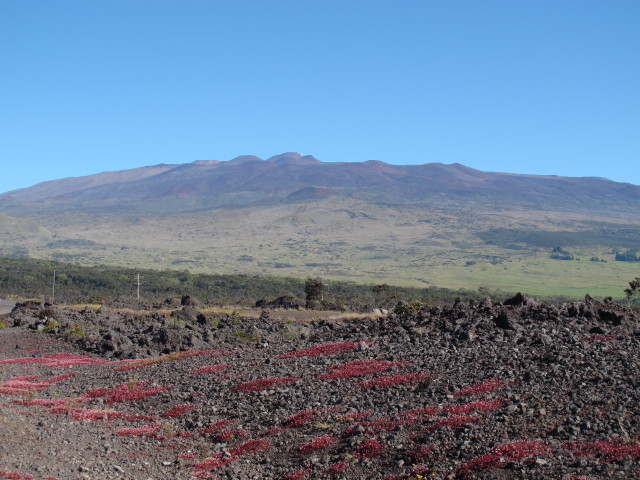 Mauna Kea von der Saddle Road aus (16. Mai)