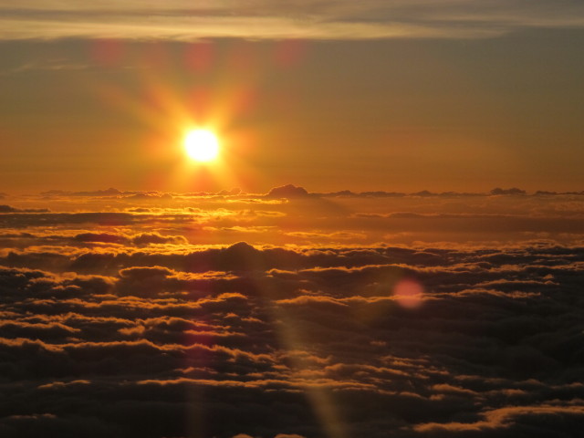 vom Pu'u'ula'ula Richtung Westen (18. Mai)