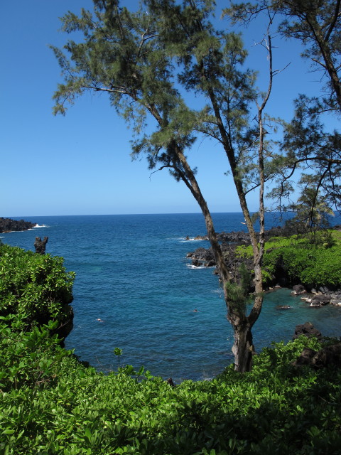 Waianapanapa State Park (20. Mai)