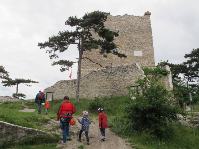 Stefan, Tim, Kerstin, Katja-Lin und Anja-Liv in der Burg Mödling