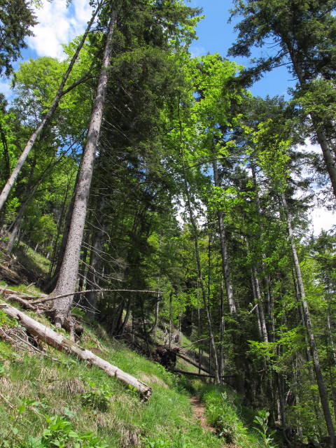 zwischen Reintalersee-Klettersteig und Heum&ouml;seralm