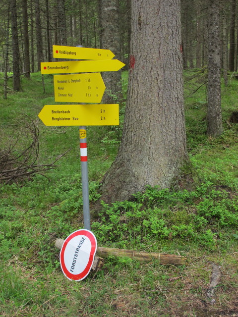 zwischen Heum&ouml;seralm und Vold&ouml;ppberg