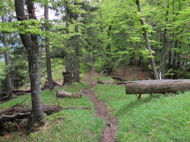 zwischen Voldöppberg und Mariatal