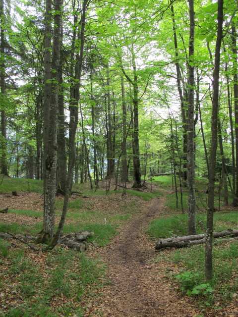 zwischen Voldöppberg und Mariatal