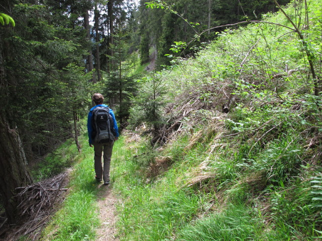 Carmen zwischen Hochgeneinerhof und Bahnhof St. Jodok