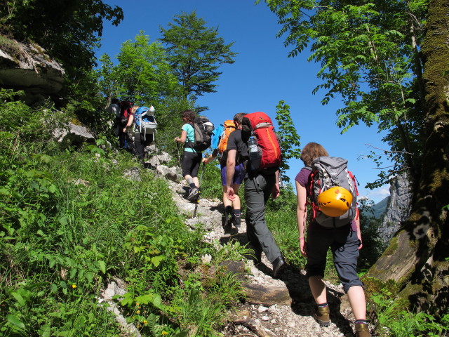 Erich, Petra, Doris, Katarina, Lukas und Hannelore auf Weg 201 zwischen Klinserfall und Kleiner Ofen (6. Juni)