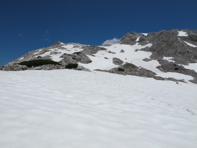 Pfaffenschneid (8. Juni)