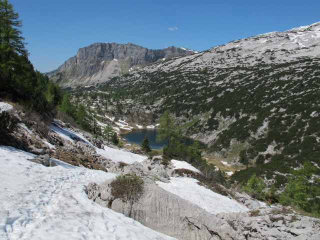 zwischen Elmwiese und Pühringerhütte (9. Juni)