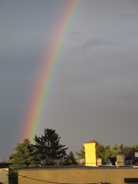 S&uuml;&szlig;enbrunn (27. Juni)