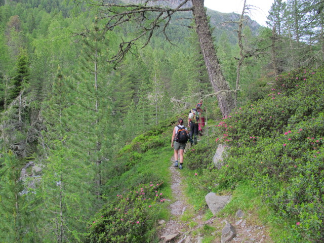 Helga, Christoph und Miriam zwischen Leibnitzbachbrücke und Leibnitzalm (4. Juli)