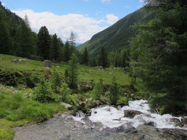 Leibnitzbach (5. Juli)