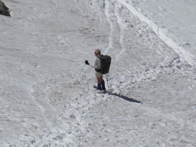 Gro&szlig;er Gosaugletscher (19. Juli)
