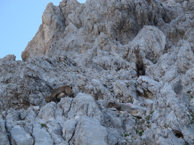 Weg 441 zwischen Wimbachgriesh&uuml;tte und Sch&ouml;nfeldspitze (2. Aug.)