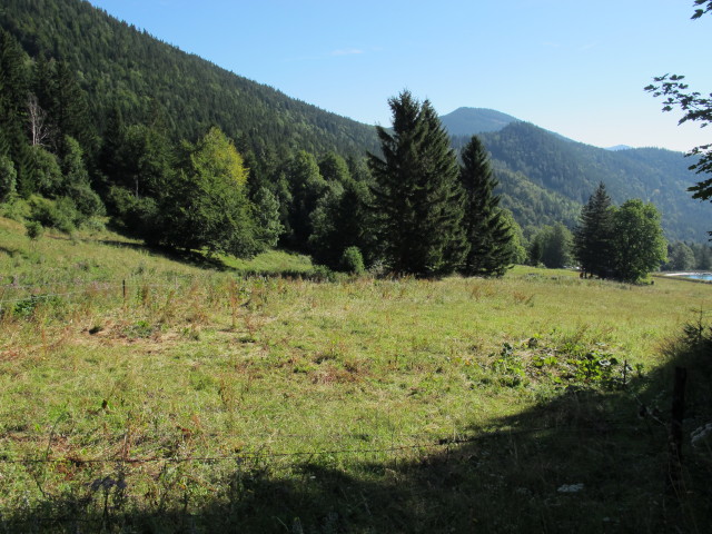 zwischen Losenheim und Breiter Ries