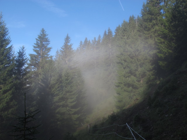 zwischen Lechneralm und Braggstein