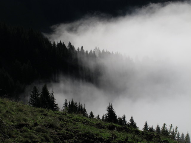 zwischen Lechneralm und Braggstein