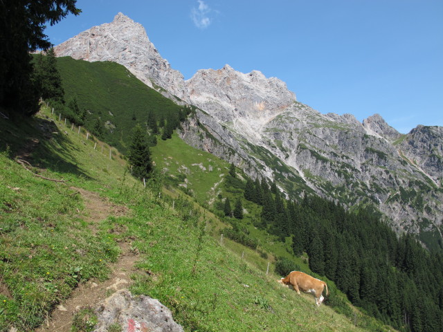 Weg 427 zwischen Braggstein und Lechneralm