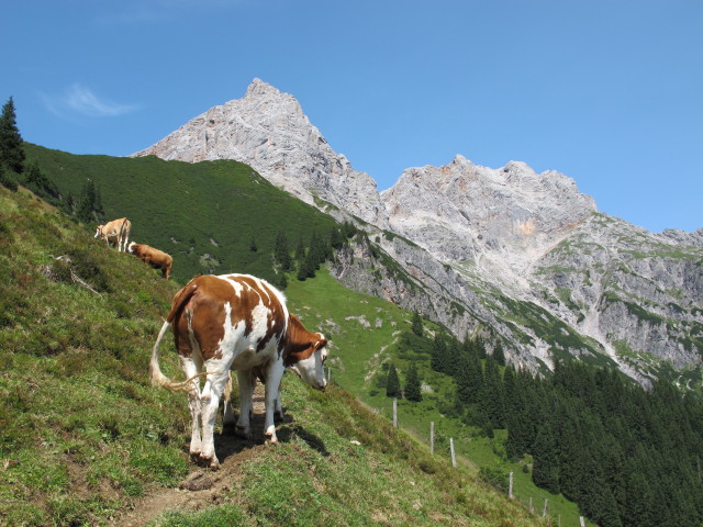 Weg 427 zwischen Braggstein und Lechneralm