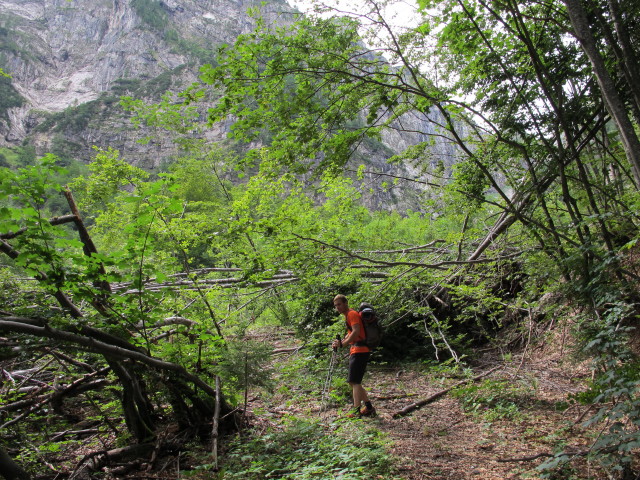 David im Valle delle Lavina (16. Aug.)