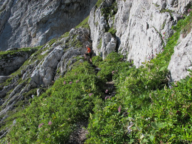 Via Ferrata Italiana al Mangart: David (17. Aug.)