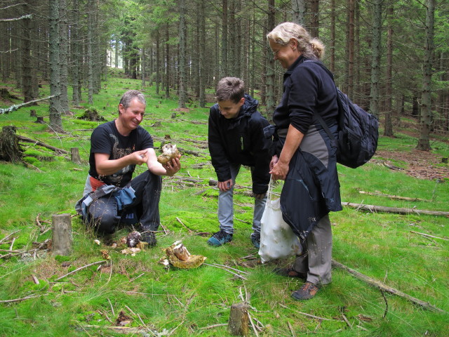 Erich, Martin und Renate zwischen Kogel und M&ouml;nichkirchner Schwaig