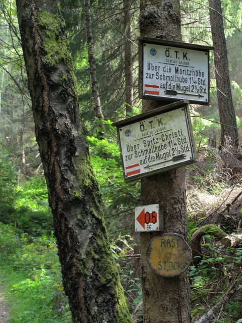 Rast-Stock (29. Aug.)