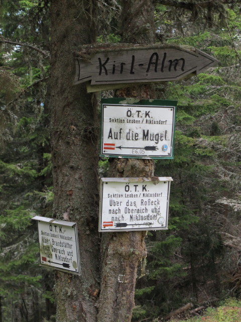 Weg 505 zwischen Mugel und Ro&szlig;eck (29. Aug.)