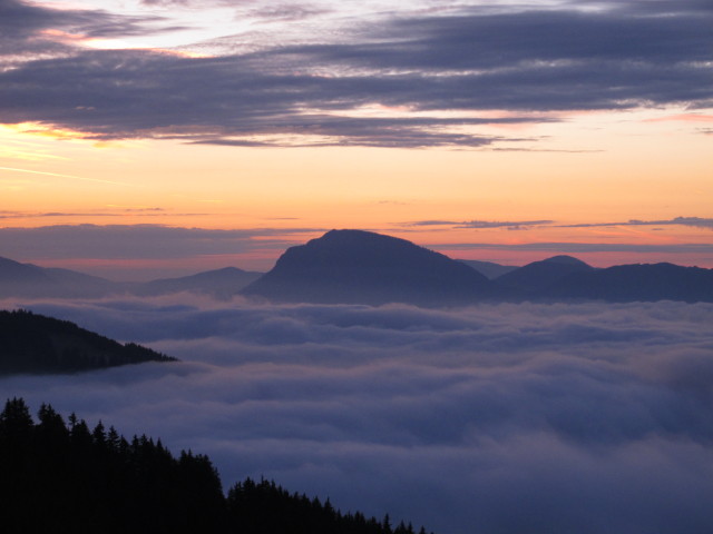 Sch&ouml;ckl von Weg 505 aus (30. Aug.)