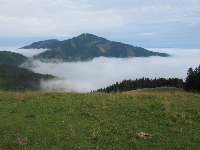 Ro&szlig;eck (30. Aug.)