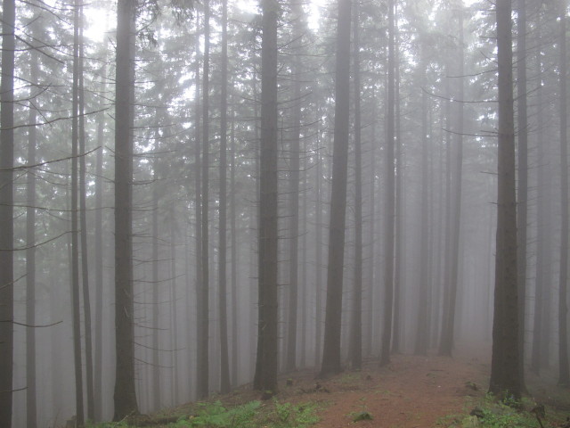 Herrensteig (30. Aug.)