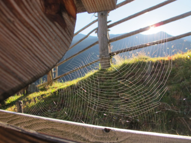 Sch&auml;falm, 1.896 m (27. Sep.)