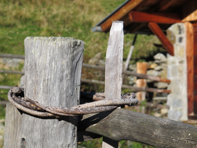 Sch&auml;falm, 1.896 m (27. Sep.)