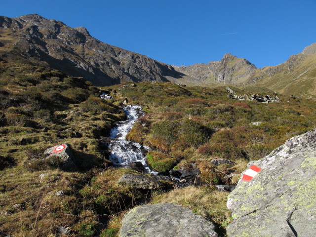 Sch&auml;falmbach (27. Sep.)