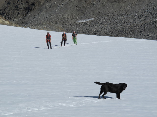 L&auml;ngentalferner (28. Sep.)