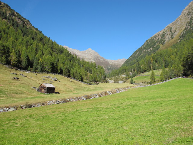 B&auml;reneben (29. Sep.)