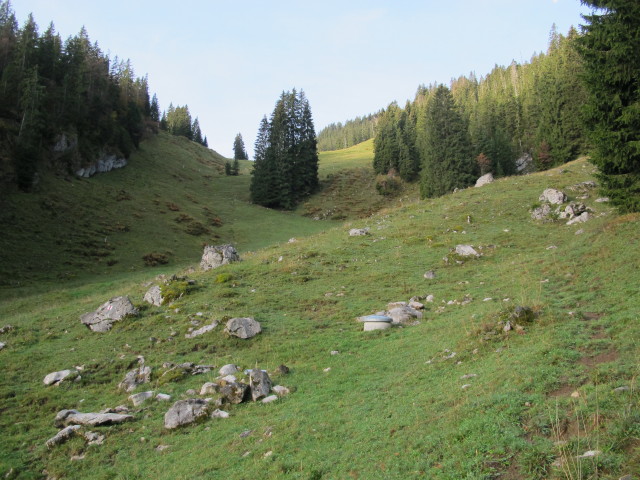 zwischen Schl&uuml;echtli und Gummen